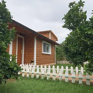 https://the-mussel-house.albaniahotels.org